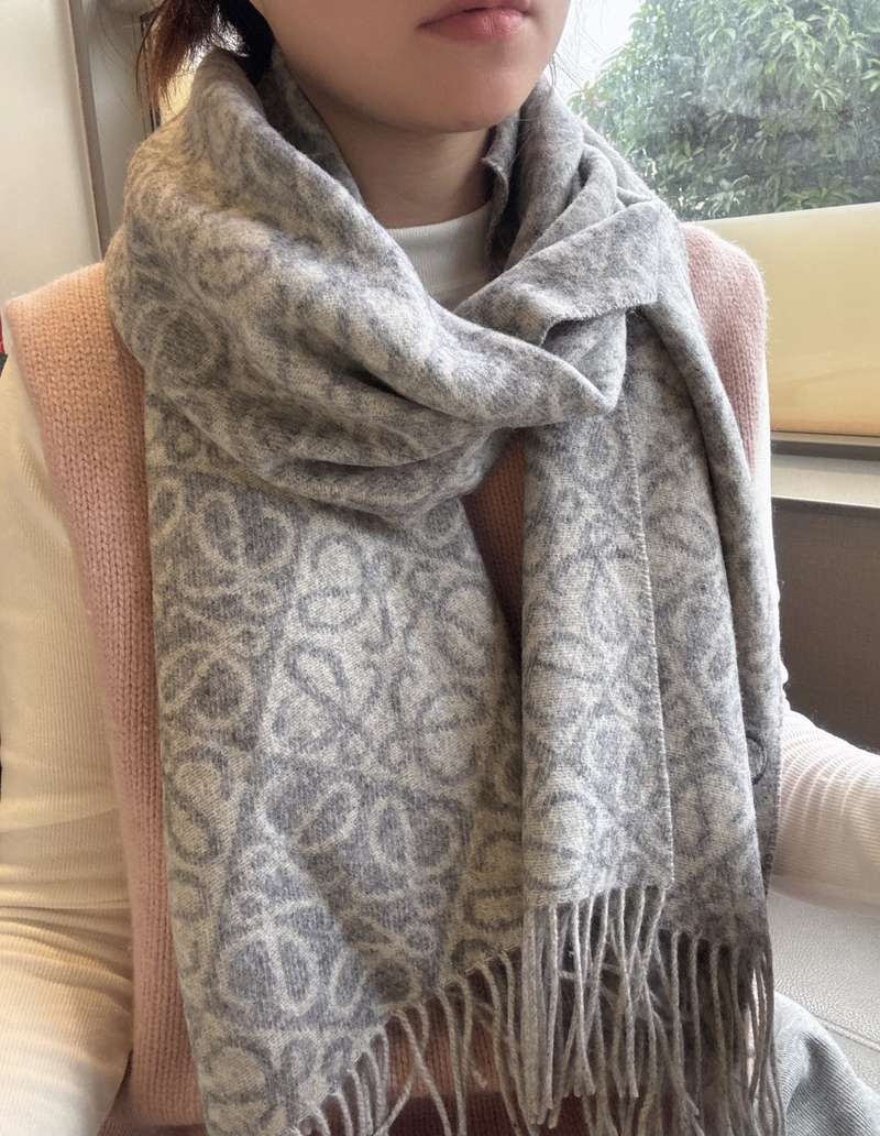 LOEWE Scarf-4